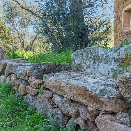 Le Case Di Mara - Appartamenti Tipici "Stazzo Giovannareddu" Porto San Paolo  Exteriör bild
