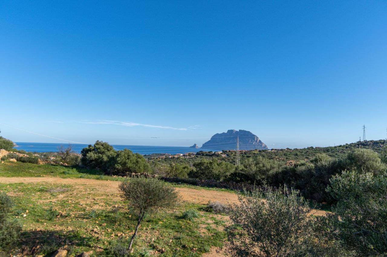Le Case Di Mara - Appartamenti Tipici "Stazzo Giovannareddu" Porto San Paolo  Exteriör bild